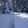 Rakitna objeta v 60-70cm debelo snežno odejo 4.2.2018 Matic Cankar 2